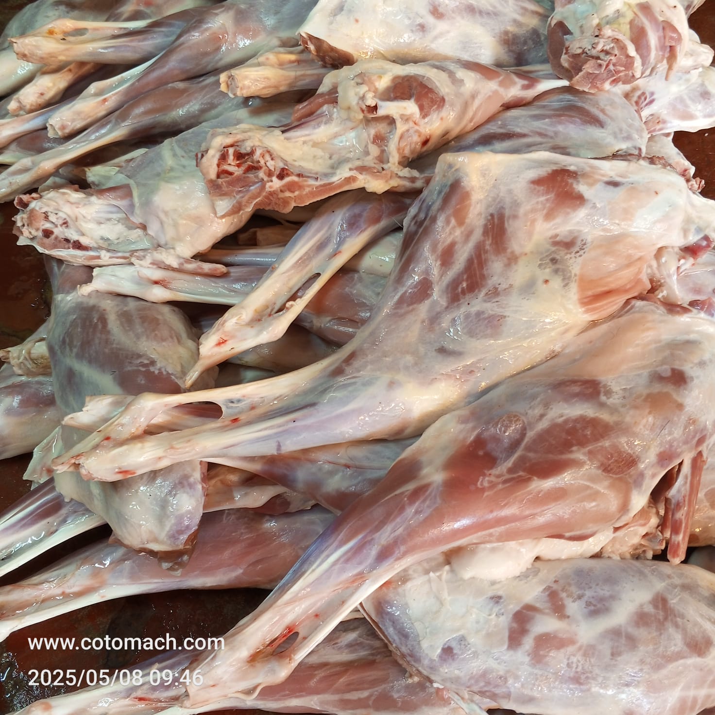 Mutton Whole Leg-Per Kg