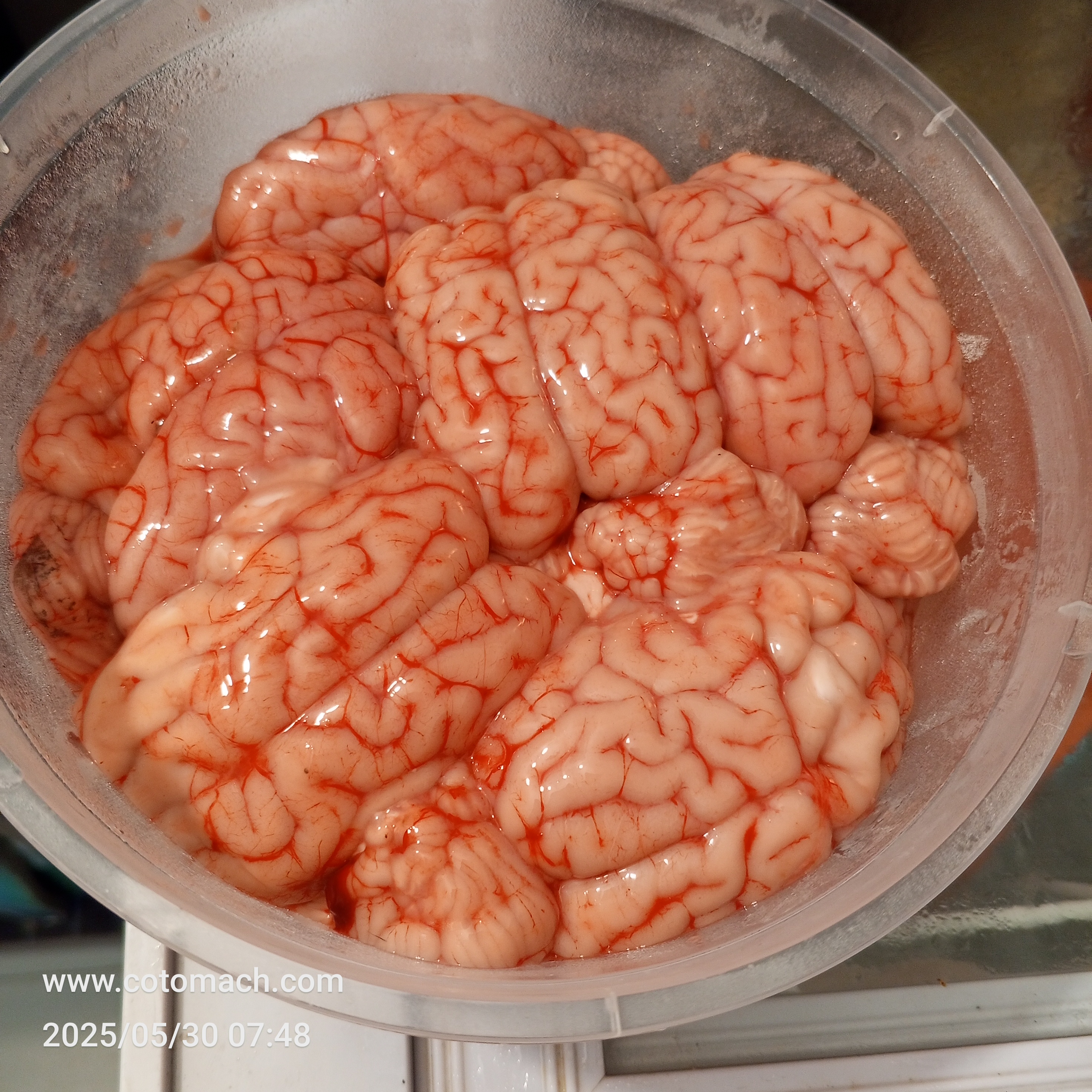 খাসির মগজ।। Mutton Brain (৫পিস)
