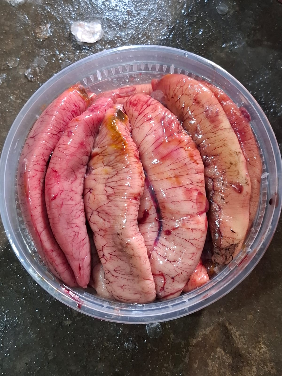 ইলিশের ডিম ১ কেজি