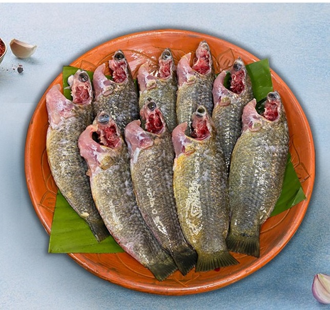 Deshi Koi (13-14Pcs) - 1kg (দেশি কৈ মাছ 13-14পিসে কেজি)