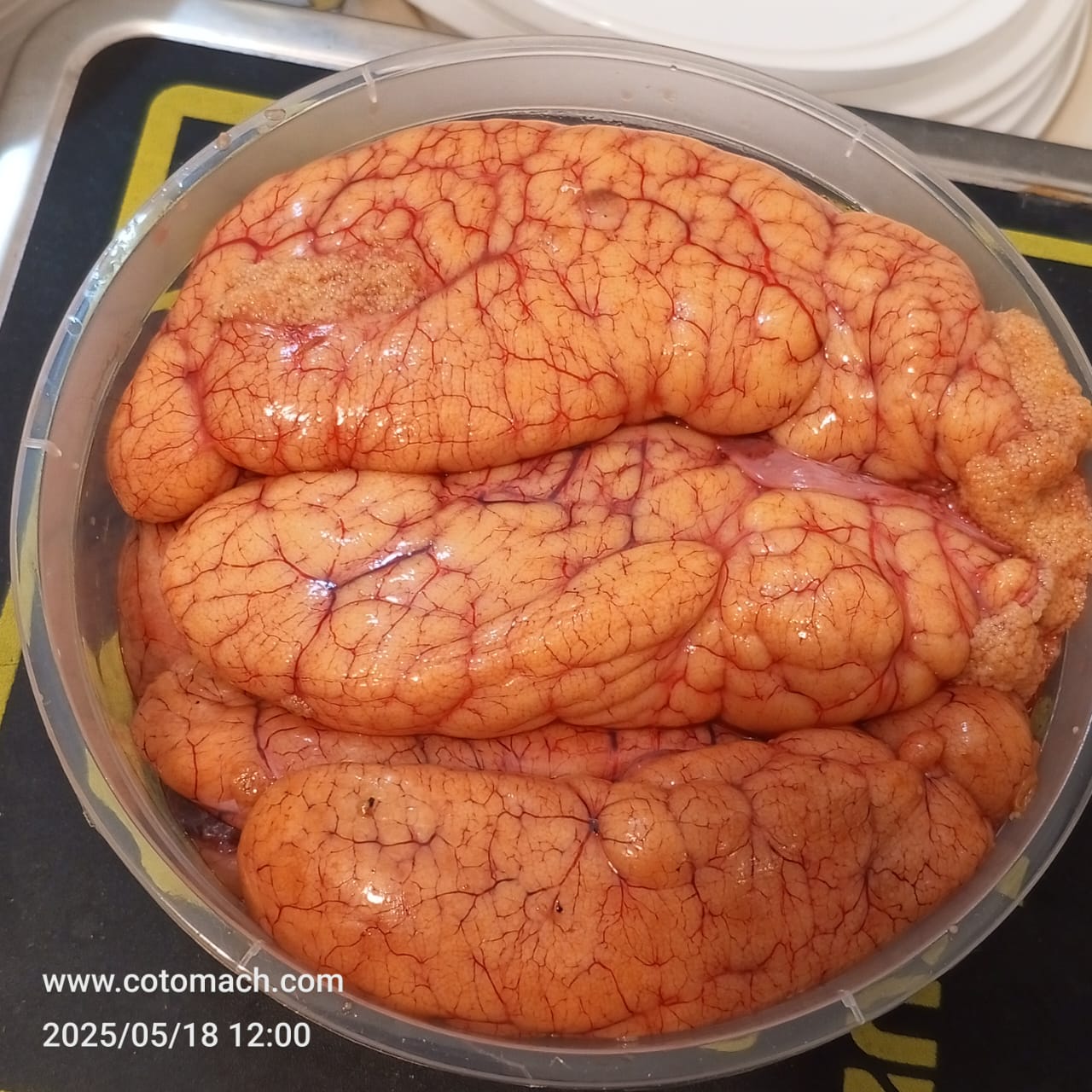 পাঙাশের ডিম - ২ কেজি