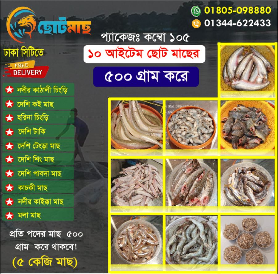 500গ্রাম করে 10 আইটেম ছোট মাছের Combo  Package - 105