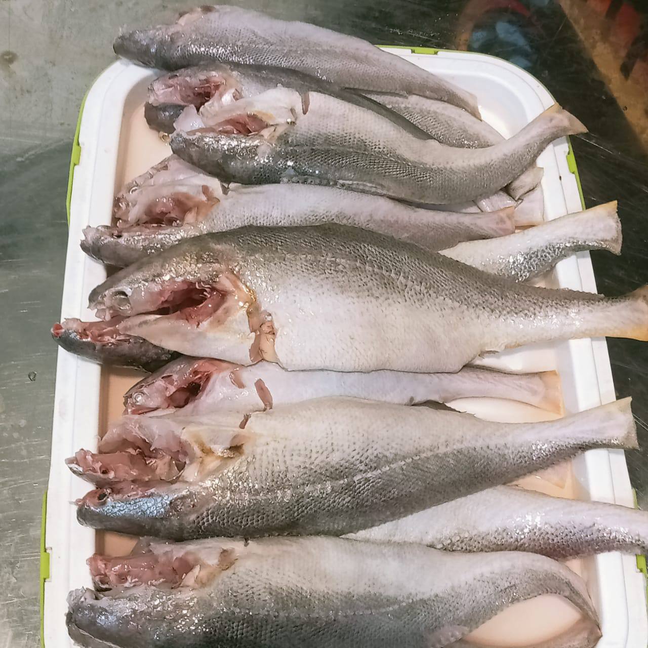 নদীর পোয়া মাছ - ১ কেজি