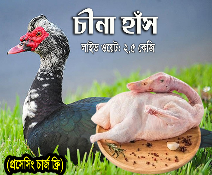 Deshi China Duck (দেশি চীনা হাঁস) - লাইভ ওয়েট 2.5 কেজি)