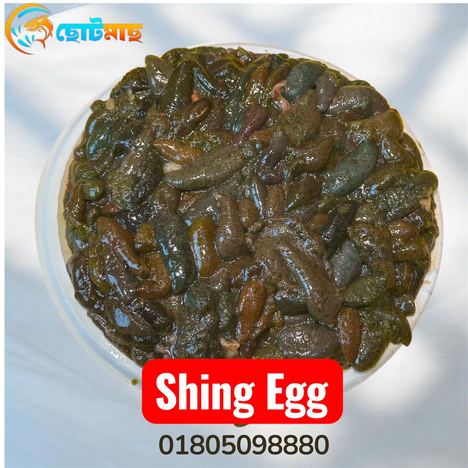 Shing Egg - 1 Kg II শিং মাছের ডিম - ১ কেজি