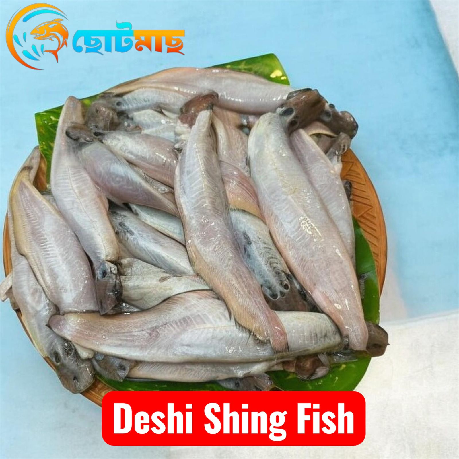 দেশি শিং মাছ - হাফ কেজি